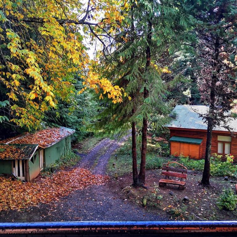 Cabañas Mapulauquen - Casa con 1 dormitorio - 1