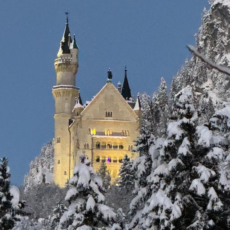 Villa Herzland Allgäu mit großem Garten und gemütlichem Kaminfeuer inklusive KÖNIGSCARD, Skipass, Bergbahn, Therme inkl - Villa mit 3 Schlafzimmern - 29