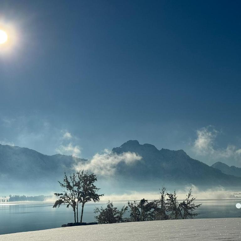 Villa Herzland Allgäu mit großem Garten und gemütlichem Kaminfeuer inklusive KÖNIGSCARD, Skipass, Bergbahn, Therme inkl - Villa mit 3 Schlafzimmern - 25