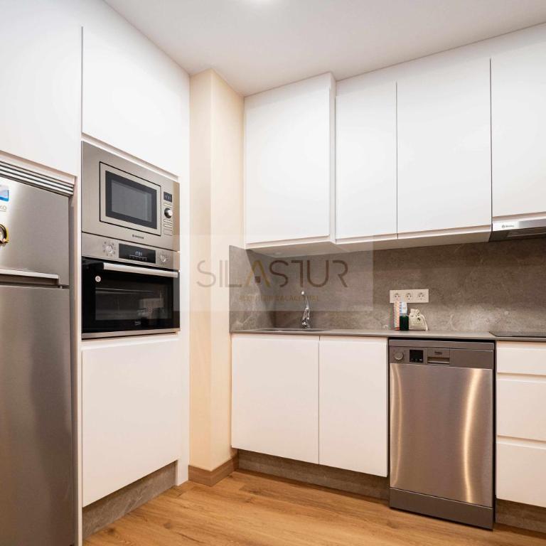 La Cantábrica By Silastur - Apartamento de 1 dormitorio - 47