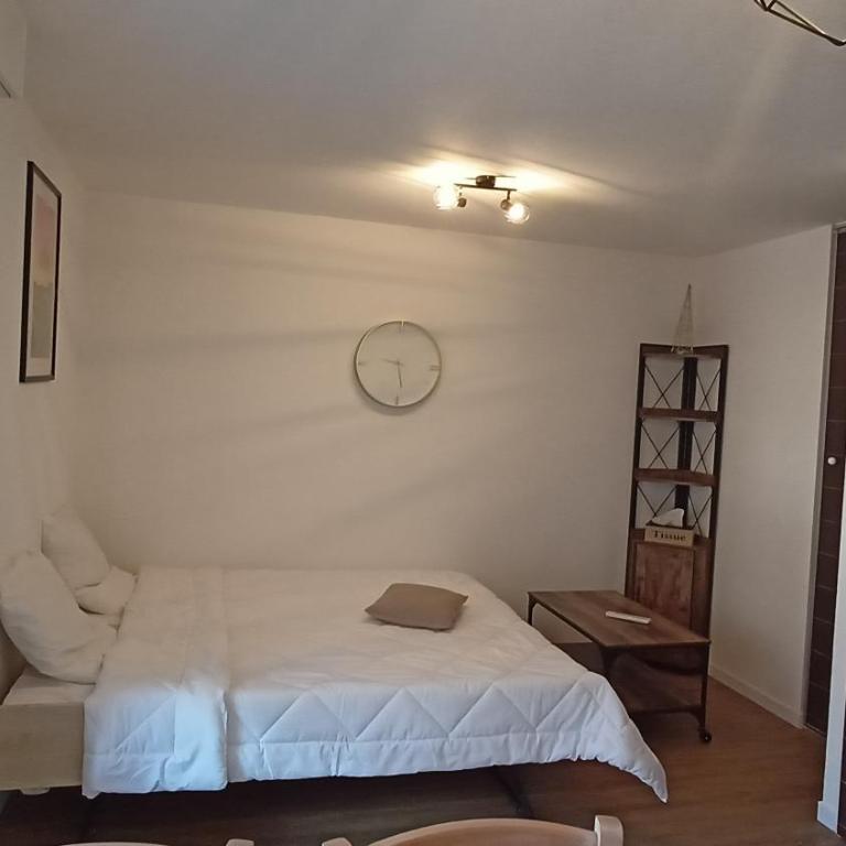 Studios grand balcon PyrZen - Appartement 1 Chambre - 4