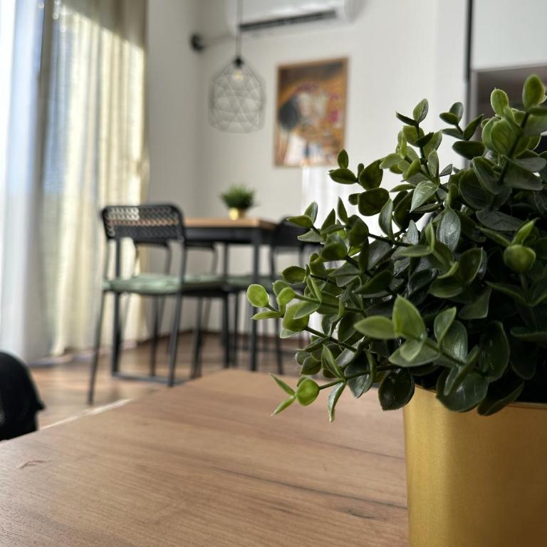 Apartman PLAY Divčibare - 2 spavaće sobe - Apartman sa 2 Spavaće Sobe - 11