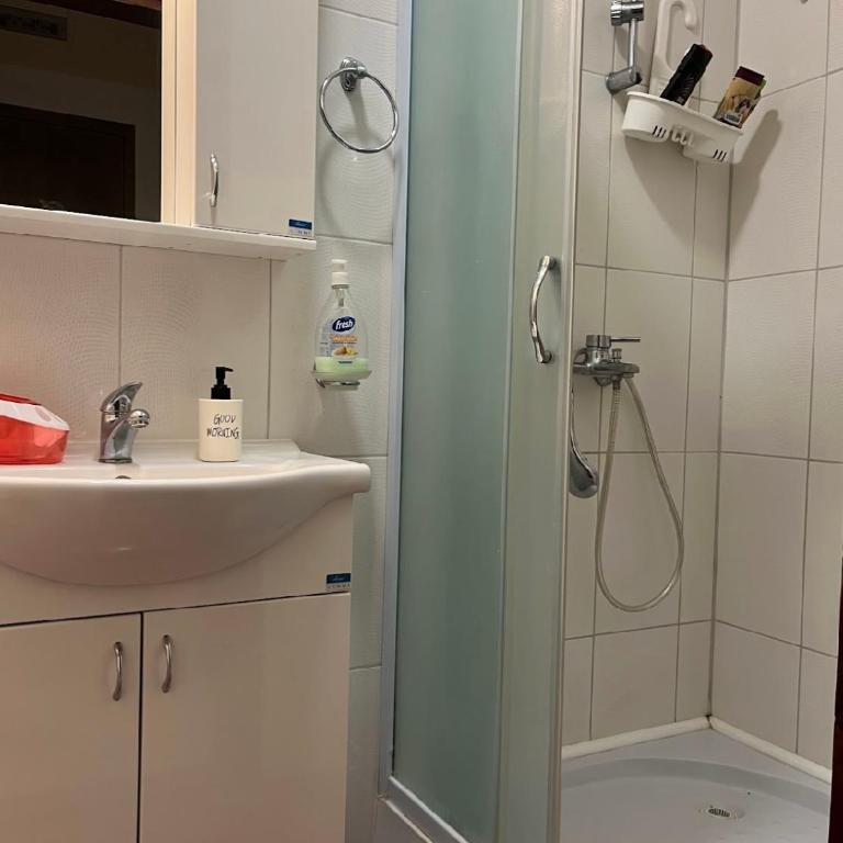 Kristina NS - Apartman sa 1 Spavaćom Sobom - 7