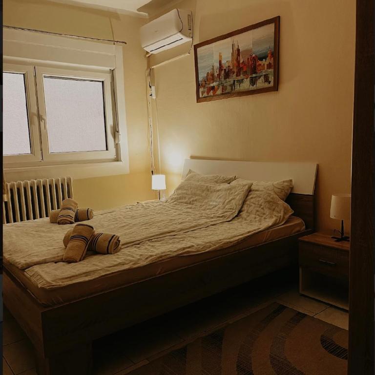 Kristina NS - Apartman sa 1 Spavaćom Sobom - 3