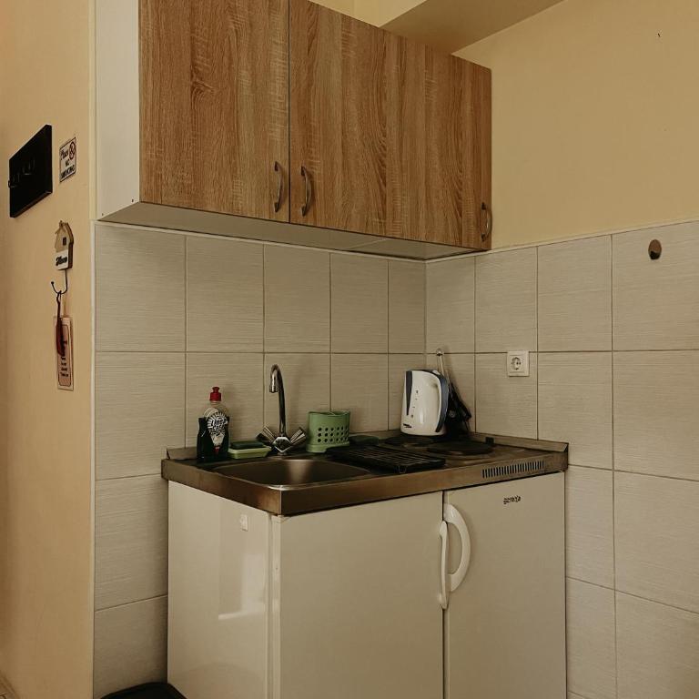 Kristina NS - Apartman sa 1 Spavaćom Sobom - 10