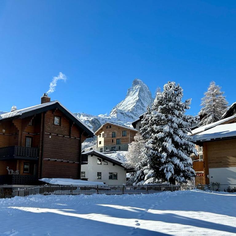 Chalet Coral und Zermatter Stadel - Apartamento de 2 dormitorios - 8