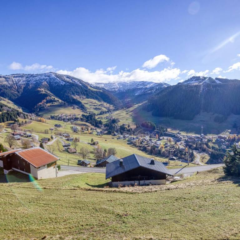Chalet moderne avec jacuzzi et accès skis aux pieds - FR-1-505-199 - Chalet - 5