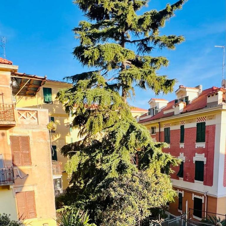 Premier étage - Two-Bedroom Apartment - 15