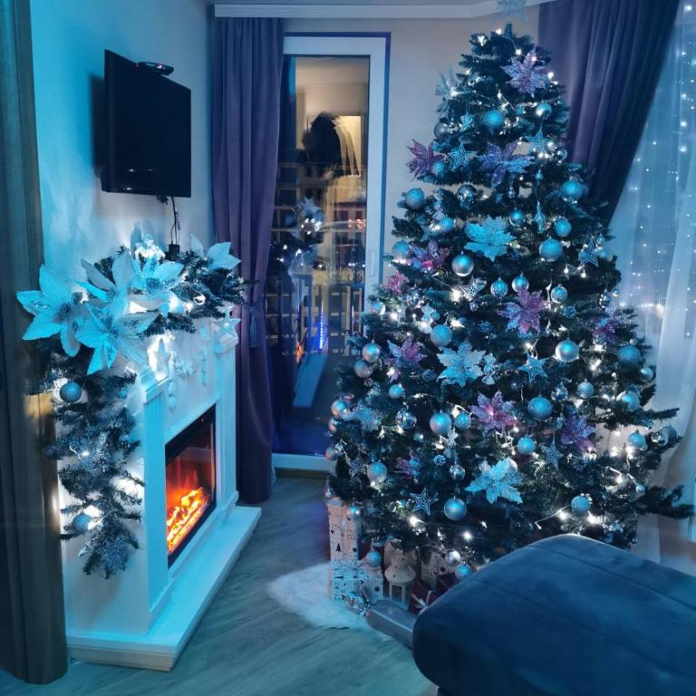 APARTMAN 94 - Apartman sa 1 Spavaćom Sobom - 8