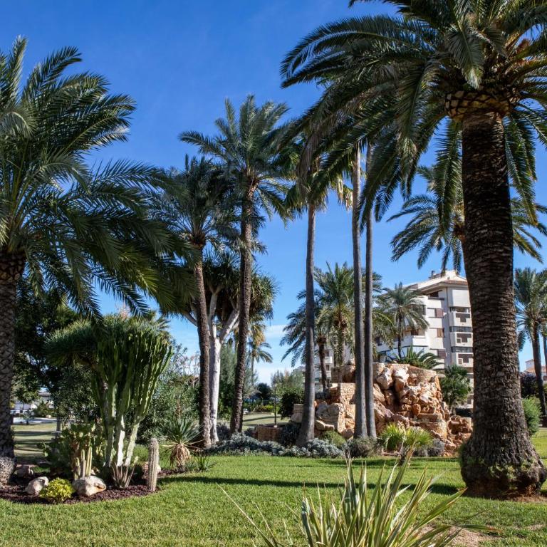 Apartamento Playa Grande Dénia en primera línea de playa con piscina y gran terraza by Family Homes - Apartamento de 2 dormitorios - 7
