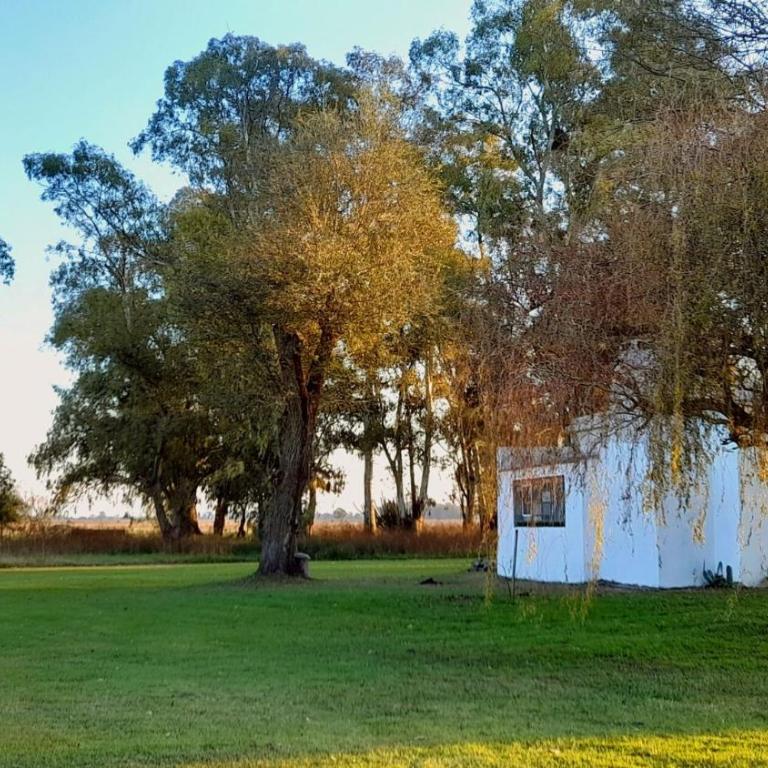 Casa de campo en Zapiola , Lobos, Buenos Aires. - Vacation Home - 38