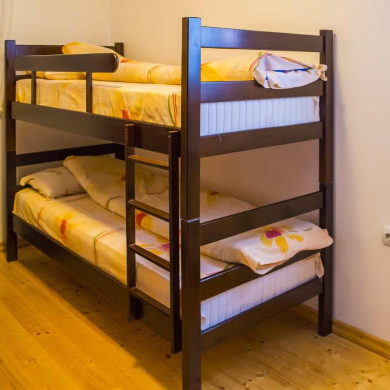 Vila Milica Apartmani - Apartman - Prizemlje - 10