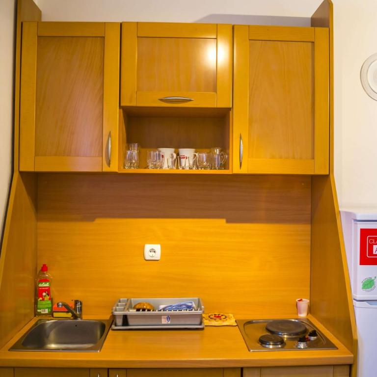 Vila Milica Apartmani - Apartman - Prizemlje - 8