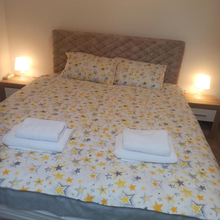 Apartman Maksimović Divčibare - Apartman s 1 Spavaćom Sobom i Terasom - 13