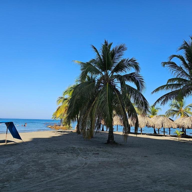 Yellow beach & rest II - Apartamento de 3 dormitorios - 44