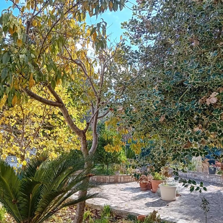 MT House - Appartamento con 2 Camere da Letto - 10