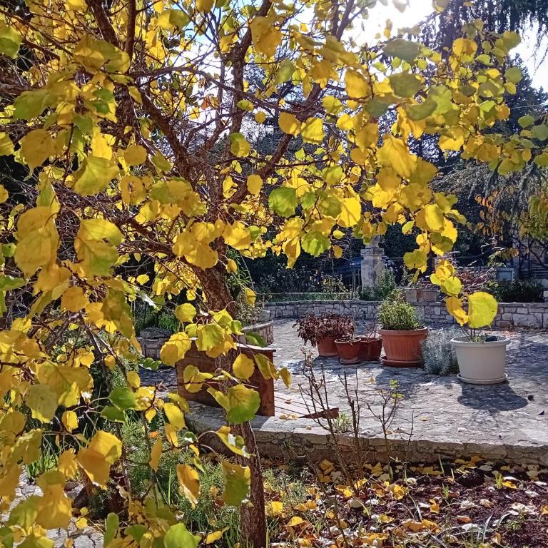 MT House - Appartamento con 2 Camere da Letto - 12