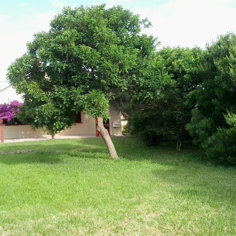ANAHATA - Two-Bedroom House - 7