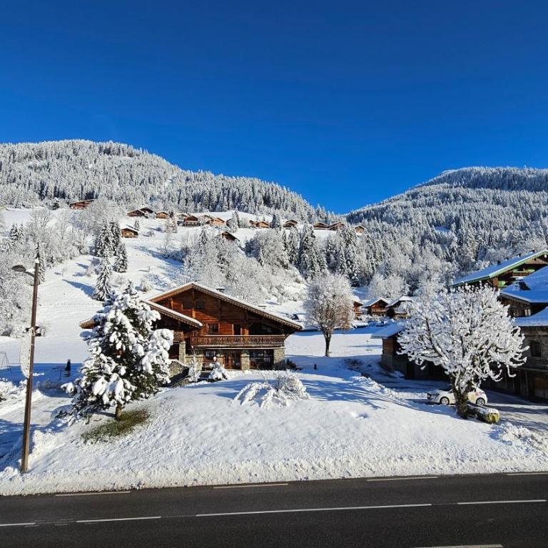 Demi-Chalet Vadel La Panthiaz 15 Pers 5 chambres - Chalet - 38