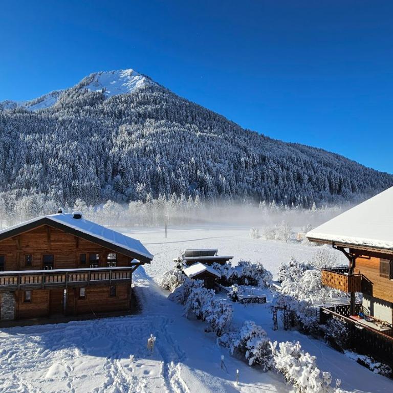 Demi-Chalet Vadel La Panthiaz 15 Pers 5 chambres - Chalet - 50
