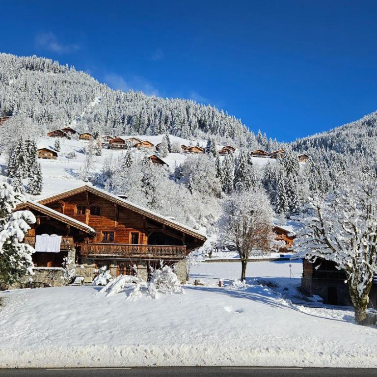 Demi-Chalet Vadel La Panthiaz 15 Pers 5 chambres - Chalet - 53