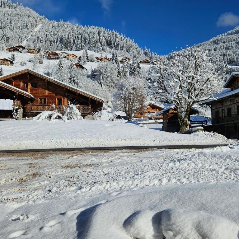 Demi-Chalet Vadel La Panthiaz 15 Pers 5 chambres - Chalet - 54