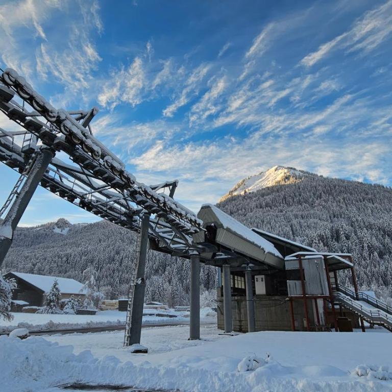 Demi-Chalet Vadel La Panthiaz 15 Pers 5 chambres - Chalet - 6