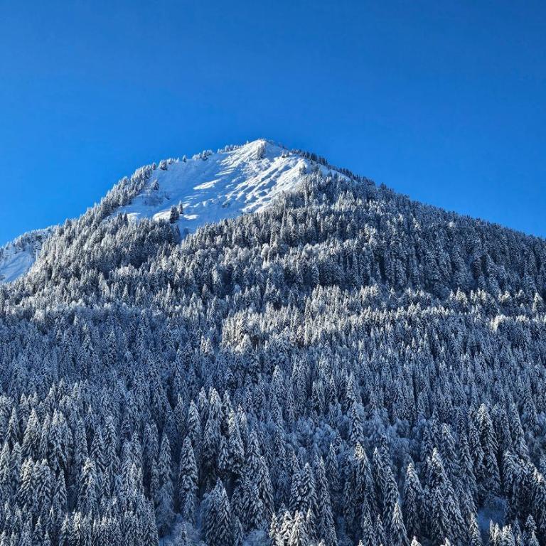 Demi-Chalet Vadel La Panthiaz 15 Pers 5 chambres - Chalet - 57