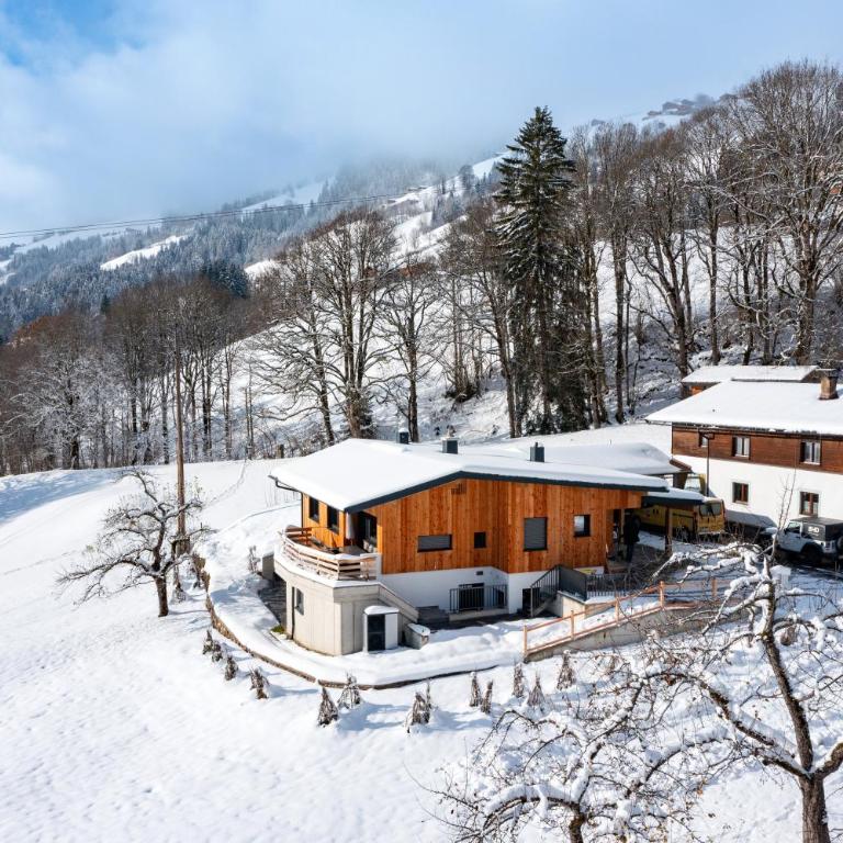 Alpenchalet zurHinterochsenweide SKI IN & SKI OUT - Apartment mit 2 Schlafzimmern und Dusche - 4
