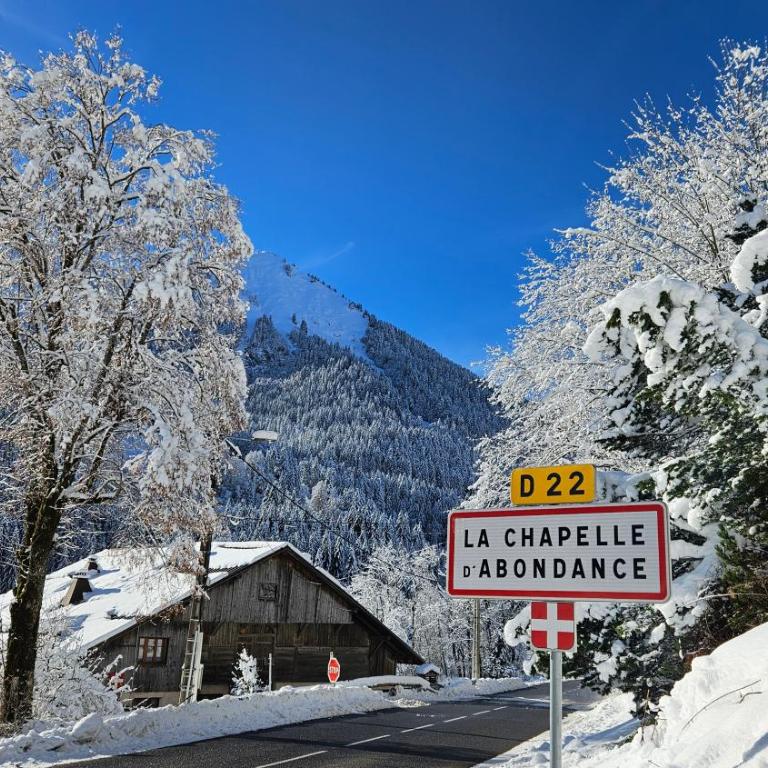 Demi-Chalet Vadel La Panthiaz 15 Pers 5 chambres - Chalet - 60