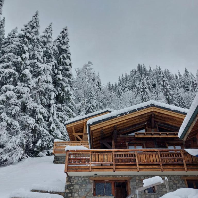 Savoya Lodges, 4 chalets privés, de 2 à 40 personnes - Chalet 3 Chambres - 6