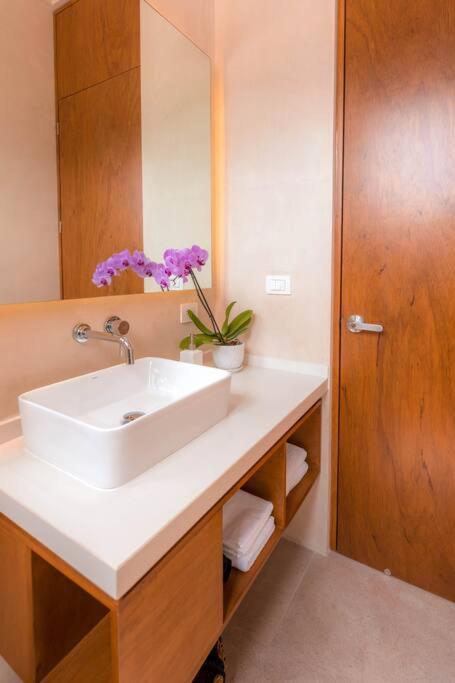Kinal 05 - Apartment - One-Bedroom Apartment - 22