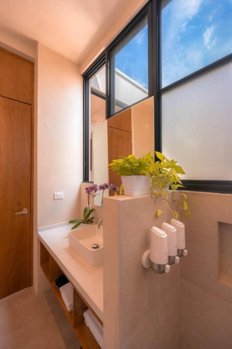 Kinal 04 - Apartment - One-Bedroom Apartment - 19