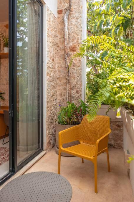 Kinal 04 - Apartment - One-Bedroom Apartment - 23