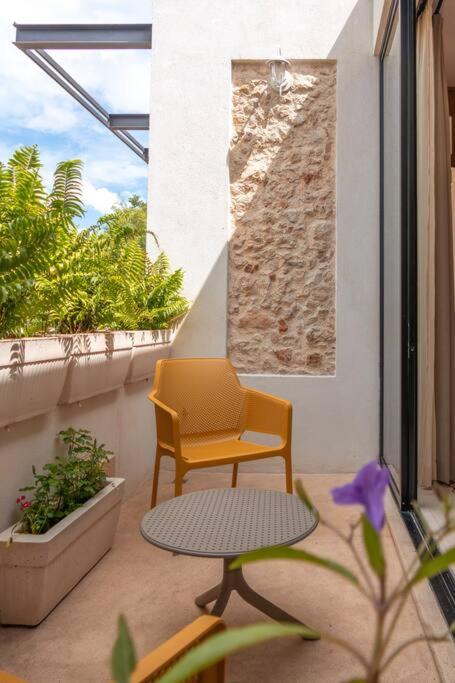 Kinal 04 - Apartment - One-Bedroom Apartment - 24