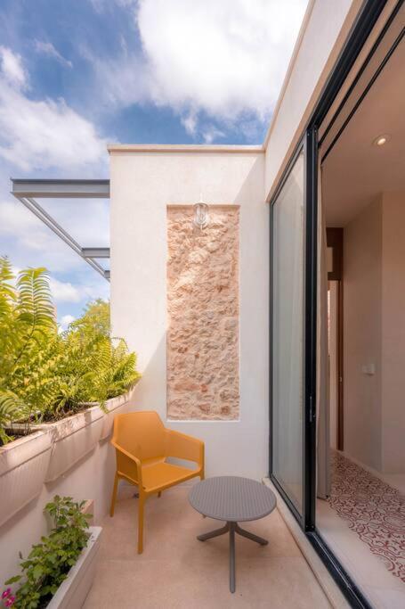 Kinal 04 - Apartment - One-Bedroom Apartment - 26