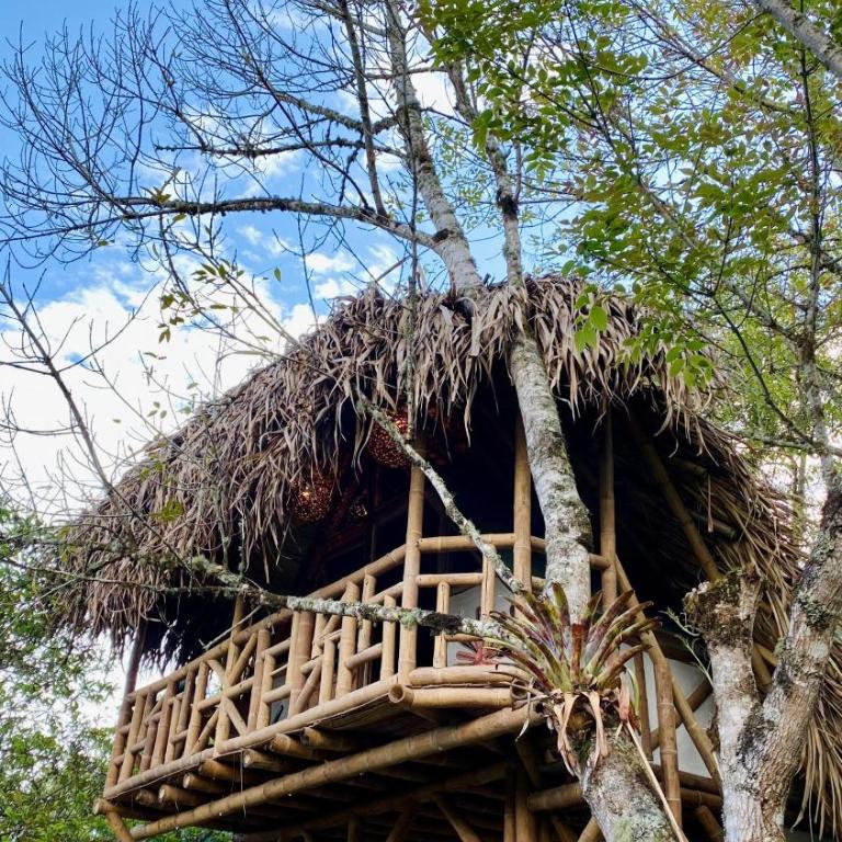 Hospedaje Finca el Mono - Habitación Deluxe (2 adultos + 1 niño) - 12
