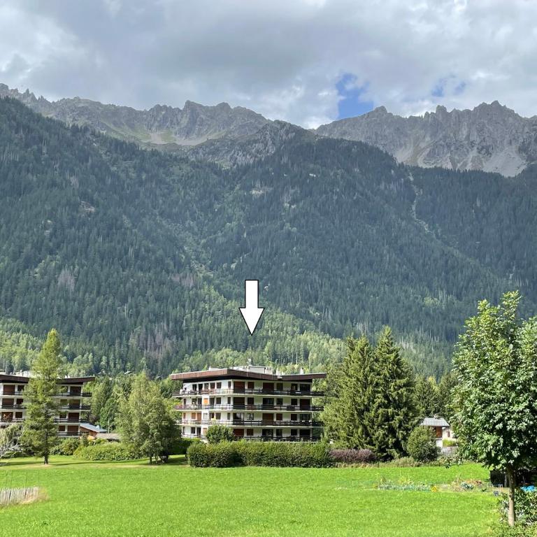Résidence Bois du Bouchet, appartement vue montagne, calme, parking gratuit, proche centre - Appartement 1 Chambre - 21