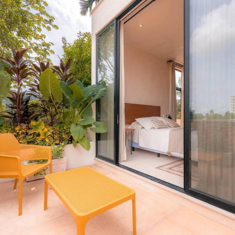 Kinal 06 - Apartment - One-Bedroom Apartment - 1