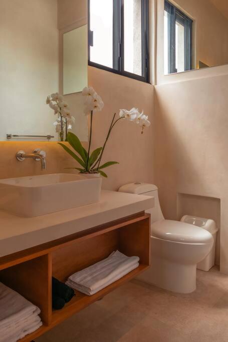 Kinal 06 - Apartment - One-Bedroom Apartment - 4