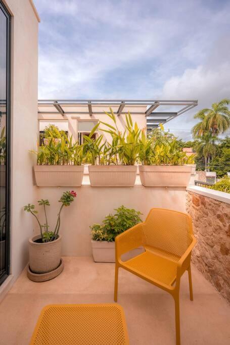 Kinal 06 - Apartment - One-Bedroom Apartment - 6