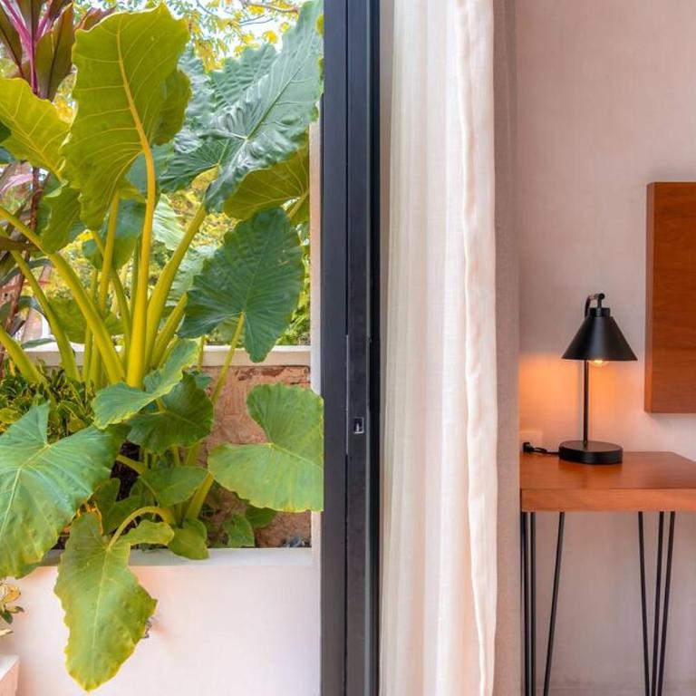 Kinal 06 - Apartment - One-Bedroom Apartment - 7