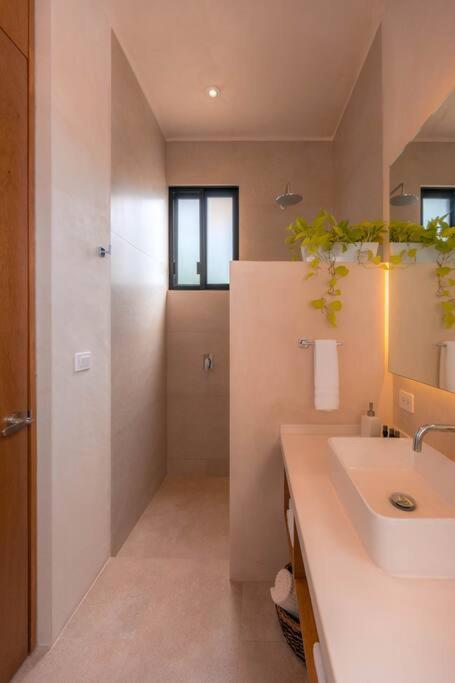 Kinal 06 - Apartment - One-Bedroom Apartment - 12