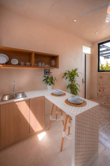Kinal 06 - Apartment - One-Bedroom Apartment - 20