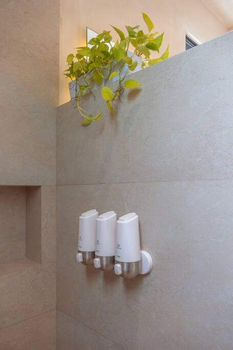 Kinal 06 - Apartment - One-Bedroom Apartment - 22