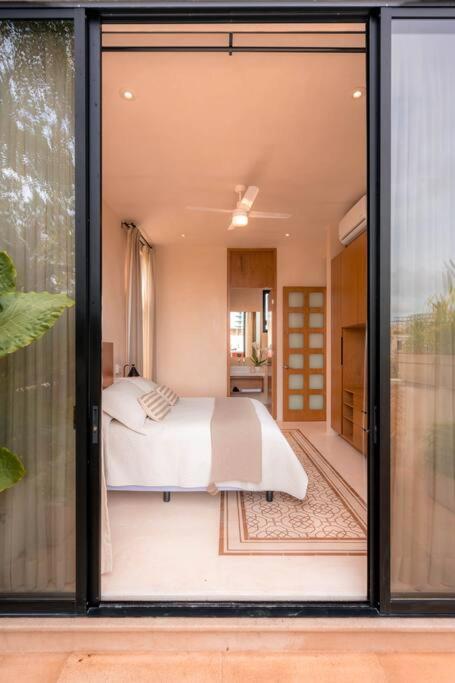 Kinal 06 - Apartment - One-Bedroom Apartment - 24