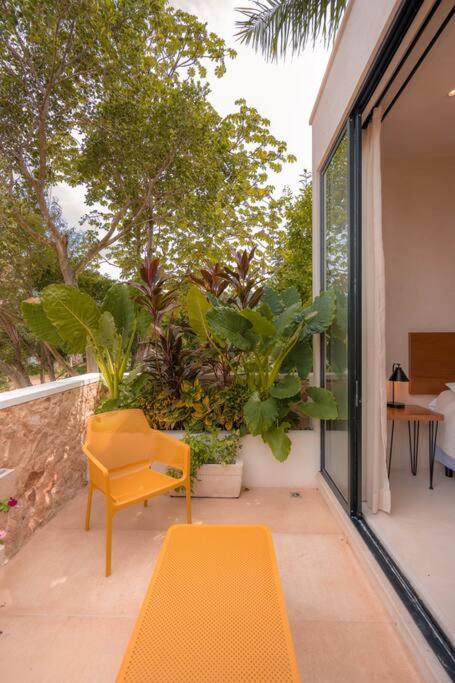 Kinal 06 - Apartment - One-Bedroom Apartment - 26
