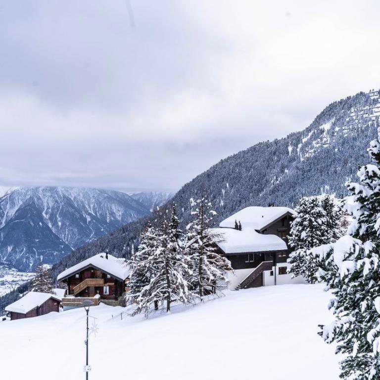 Apartments Riederhof, Riederalp - Apartment mit 1 Schlafzimmer - 21