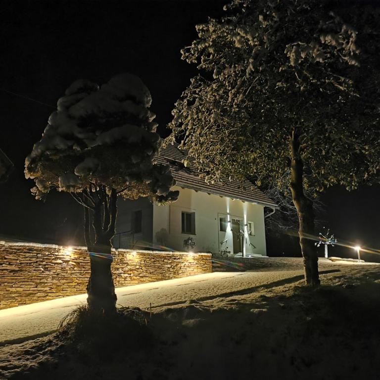 Stilvolles Ferienhaus Südsteiermark ruhige Lage top Aussicht & E-Ladestation - Haus mit 3 Schlafzimmern - 48