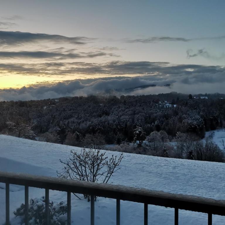 Stilvolles Ferienhaus Südsteiermark ruhige Lage top Aussicht & E-Ladestation - Haus mit 3 Schlafzimmern - 41